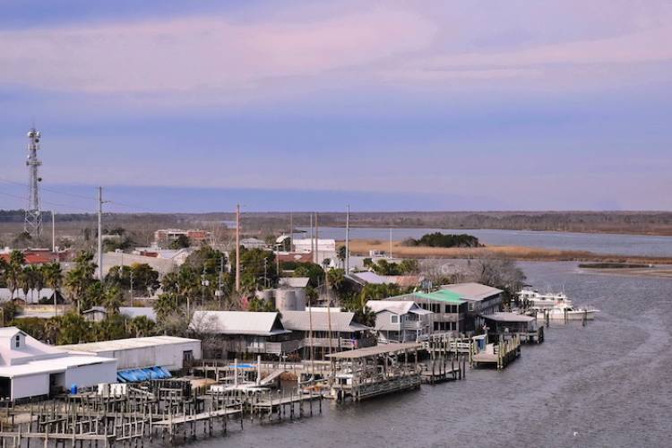 Apalachicola & St. Island Day Trip Coastal Joe Vacation Rentals